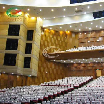 Ses Geçirmez Tiyatro Mimarisi Akustik Tasarım Çok Amaçlı